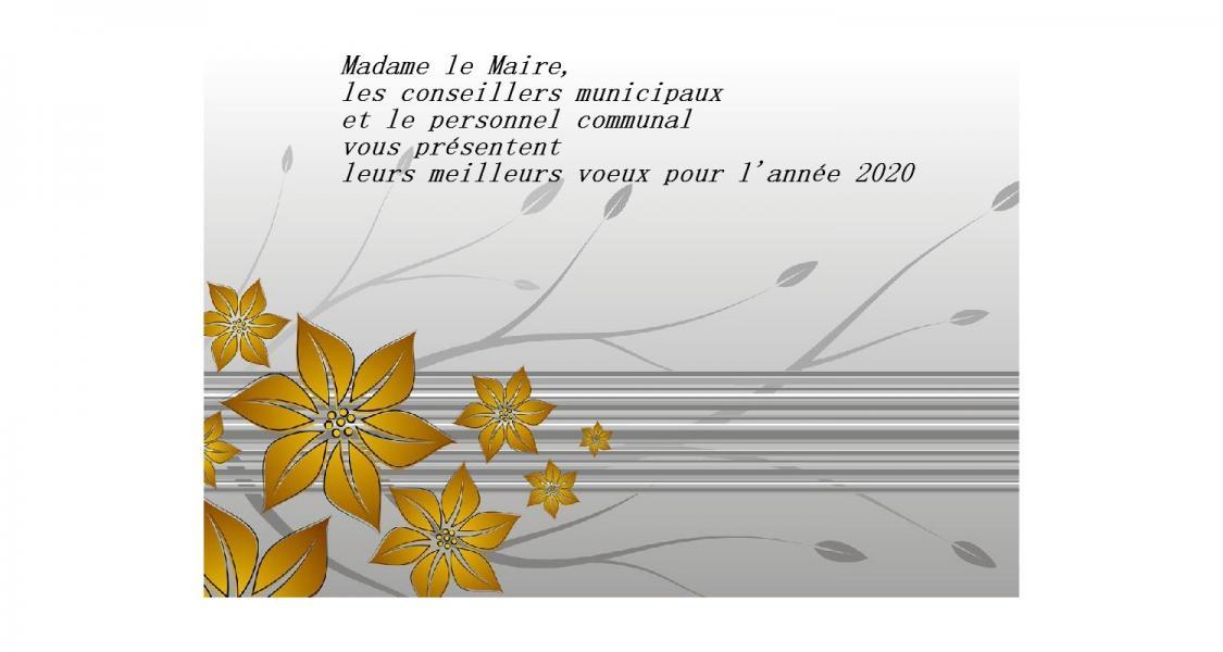 Vœux de Mme le Maire (2020)